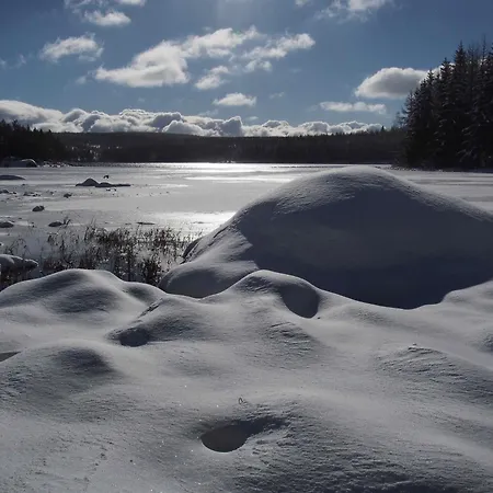 Au Calme Pleine Nature Près D'un Ruisseau Rieutort