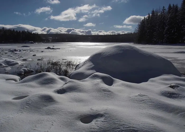 Au Calme Pleine Nature Pres D'un Ruisseau Rieutort