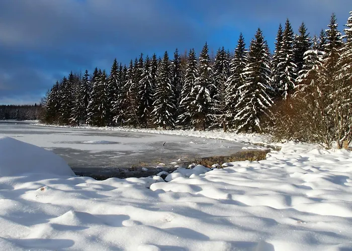 Au Calme Pleine Nature Pres D'un Ruisseau * Rieutort