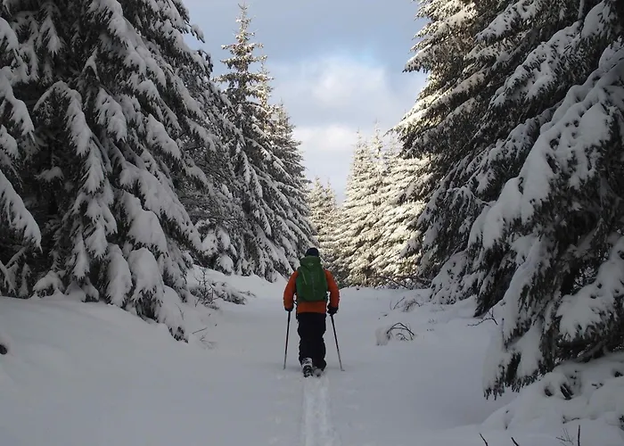 Au Calme Pleine Nature Pres D'un Ruisseau